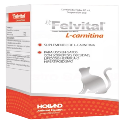 FELVITAL L-CARNITINA 80 ML